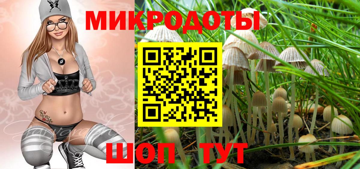 купить   Галлюциногенные грибы Cubensis  Вход с VPN  Аша 
